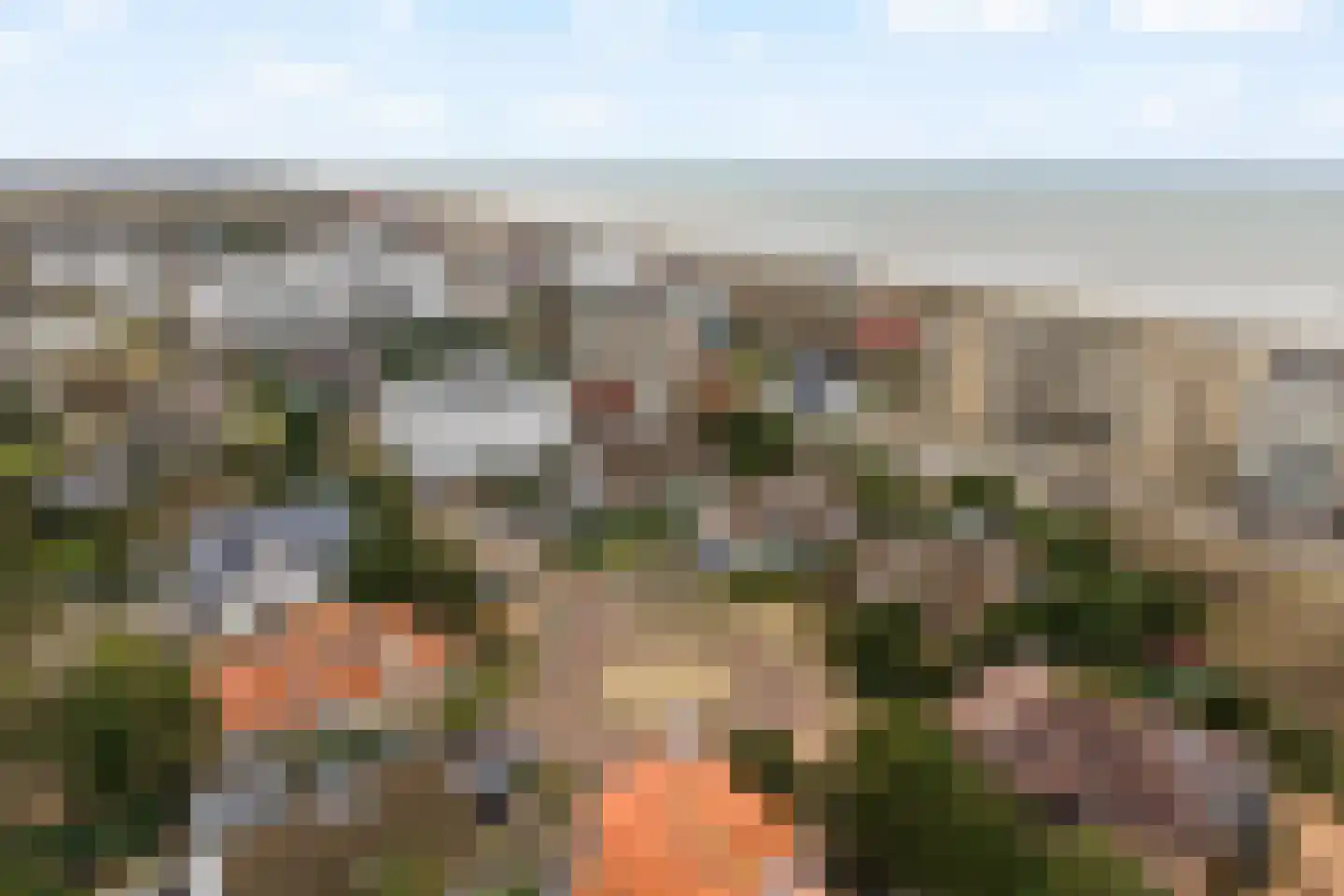 Sole Miopark 3 Noordwijk foto 3