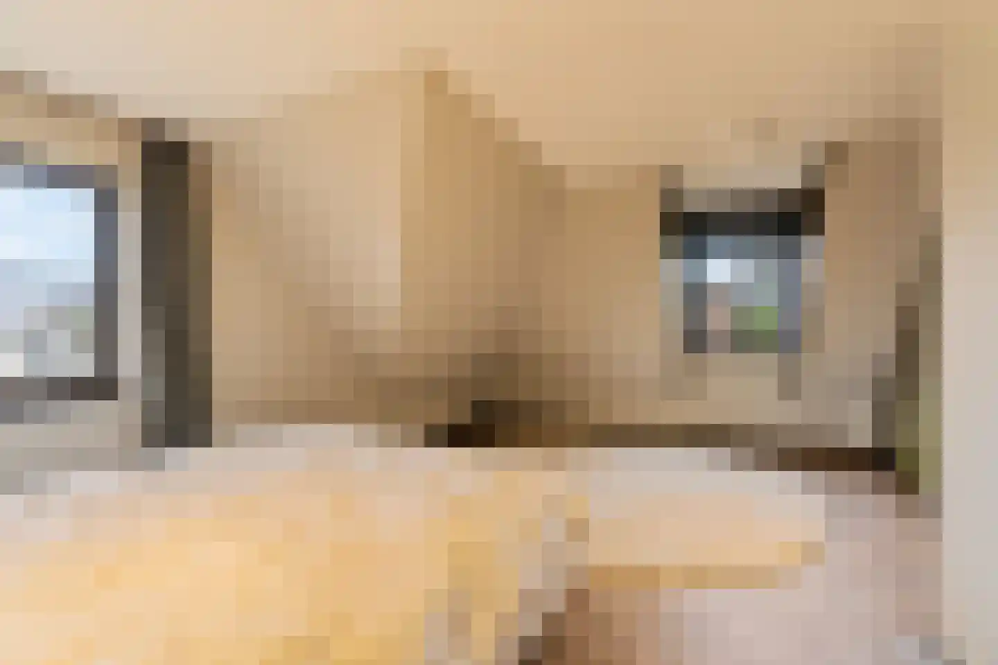 Sole Miopark 3 Noordwijk thumbnail 31