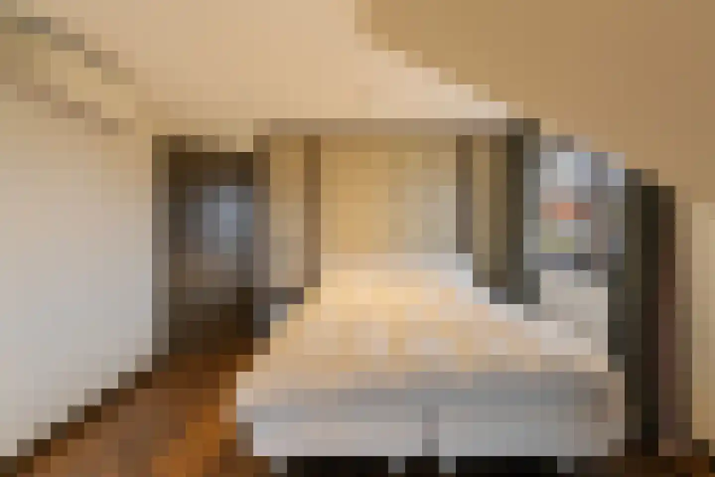 Sole Miopark 3 Noordwijk thumbnail 32