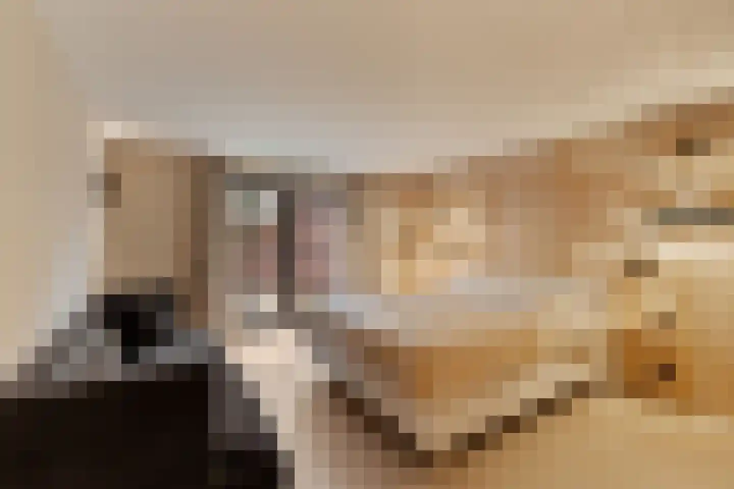 Sole Miopark 3 Noordwijk thumbnail 39