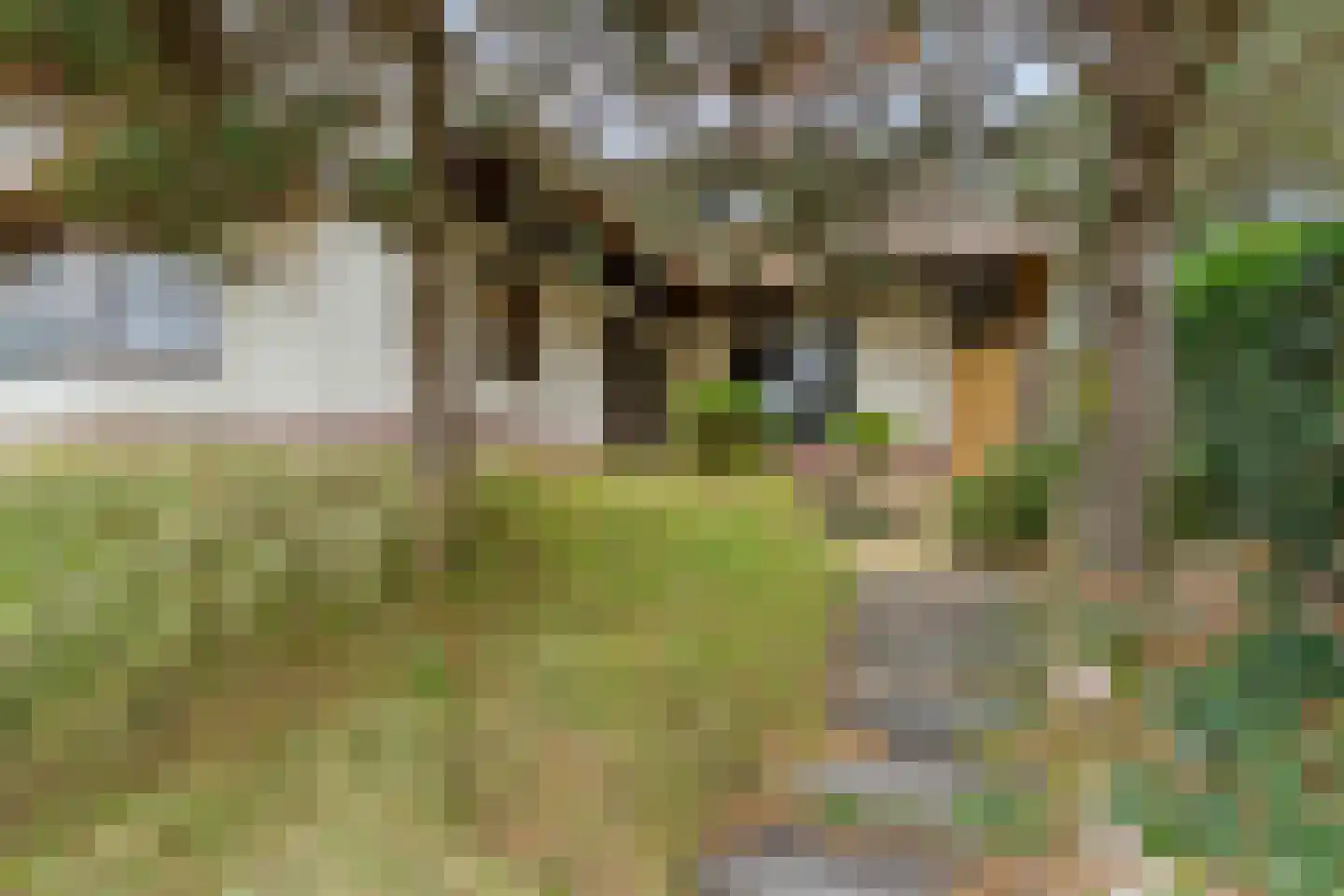 Sole Miopark 3 Noordwijk thumbnail 4