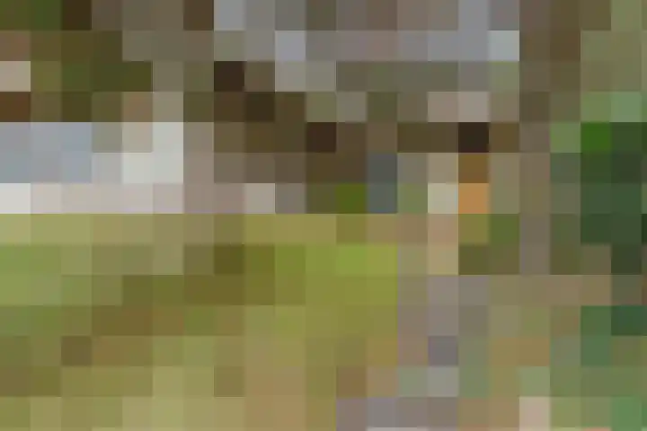 Sole Miopark 3 Noordwijk thumbnail 4