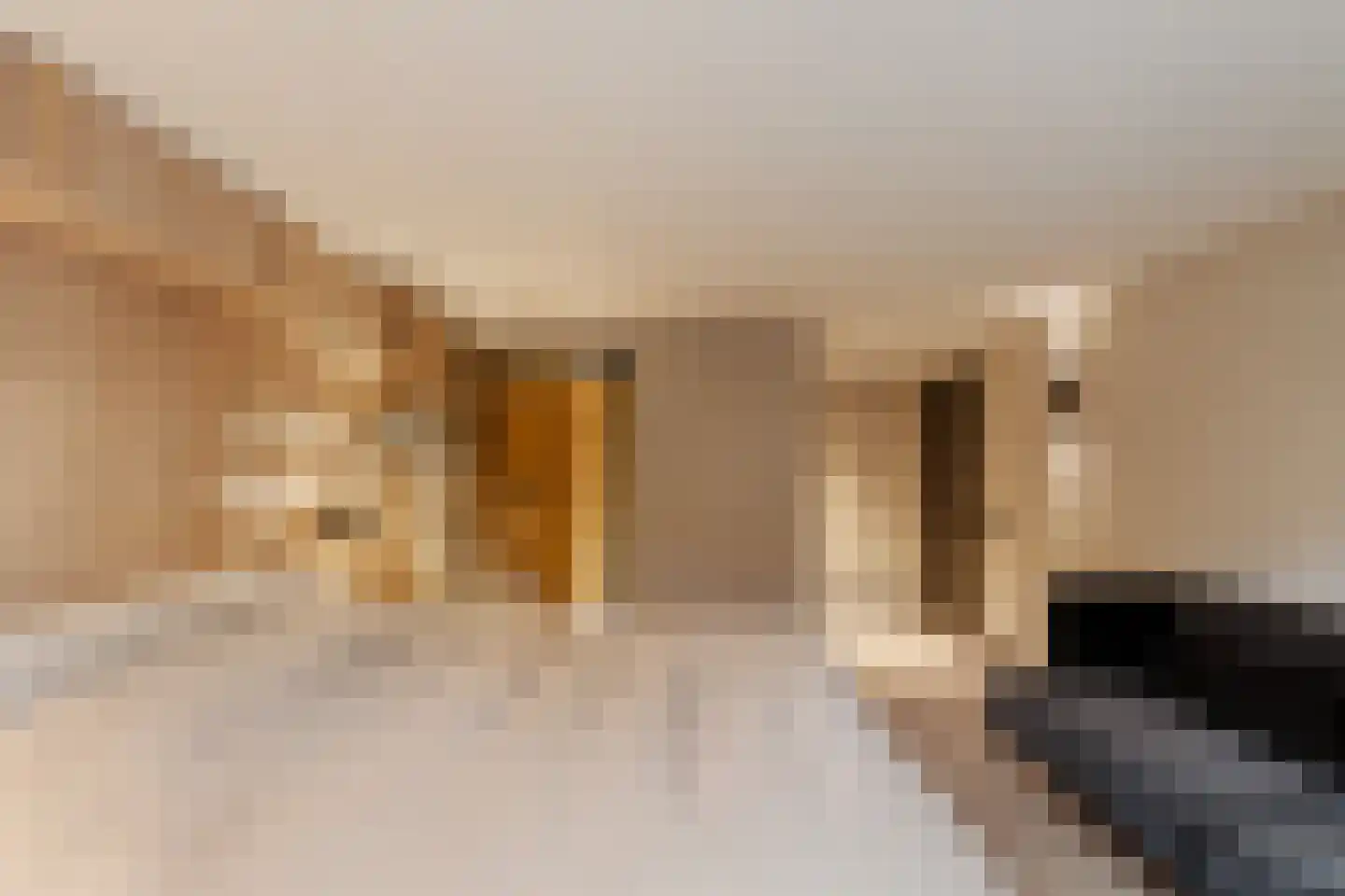 Sole Miopark 3 Noordwijk thumbnail 40