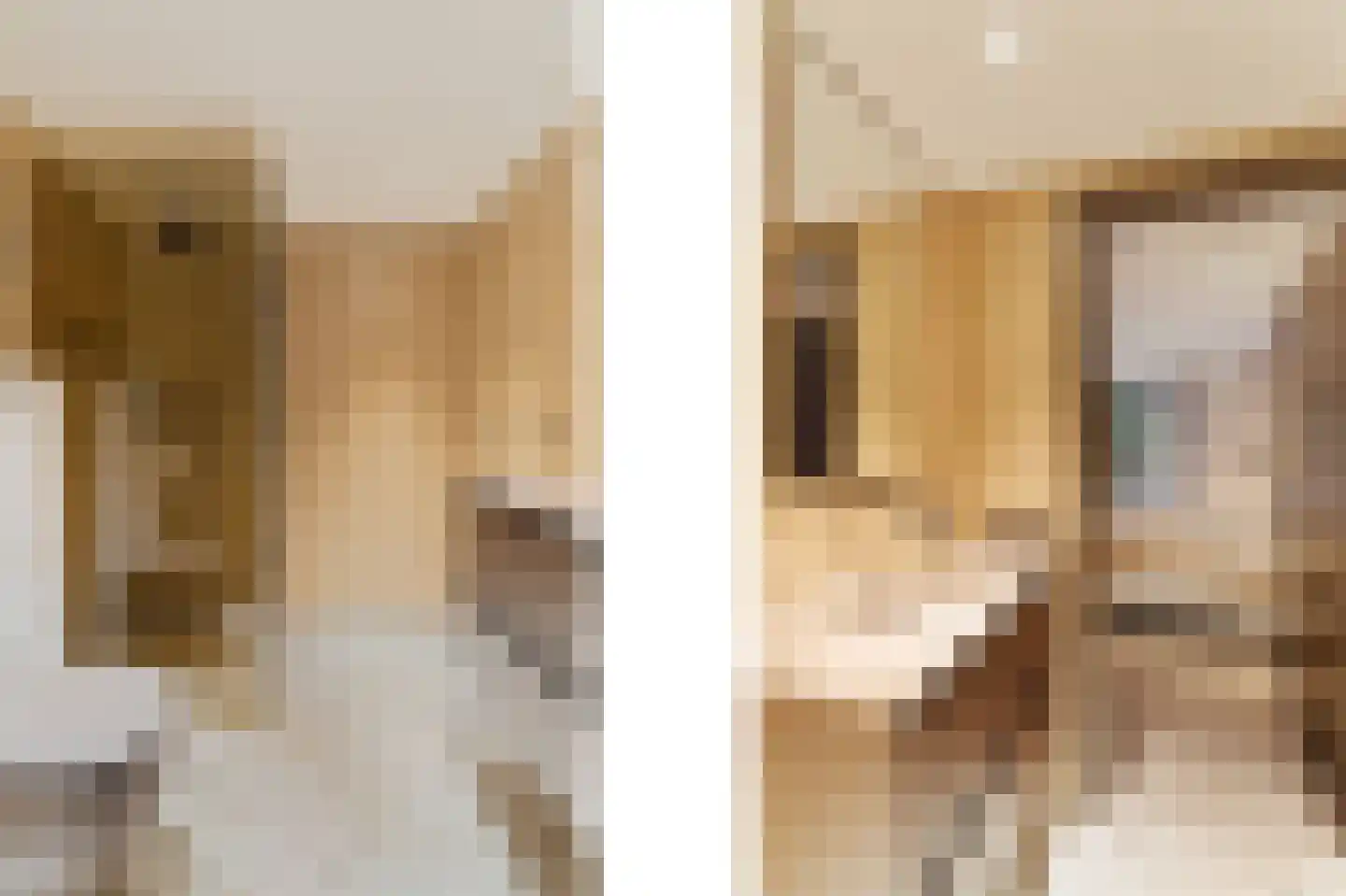 Sole Miopark 3 Noordwijk thumbnail 41
