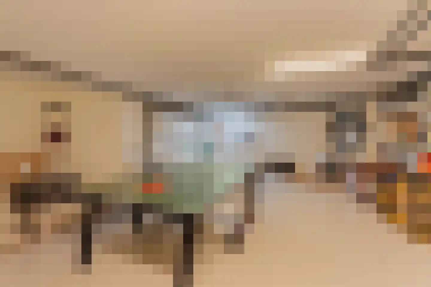 Sole Miopark 3 Noordwijk thumbnail 42