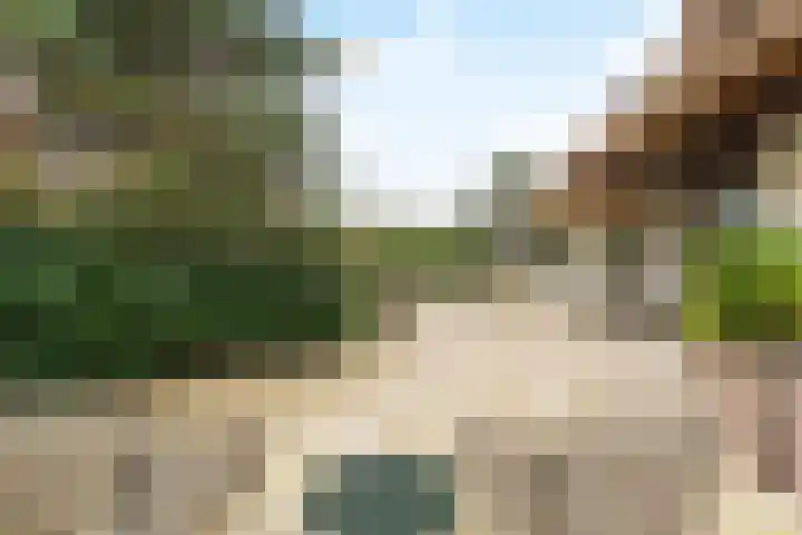 Sole Miopark 3 Noordwijk thumbnail 45