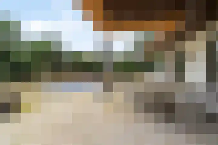Sole Miopark 3 Noordwijk thumbnail 46