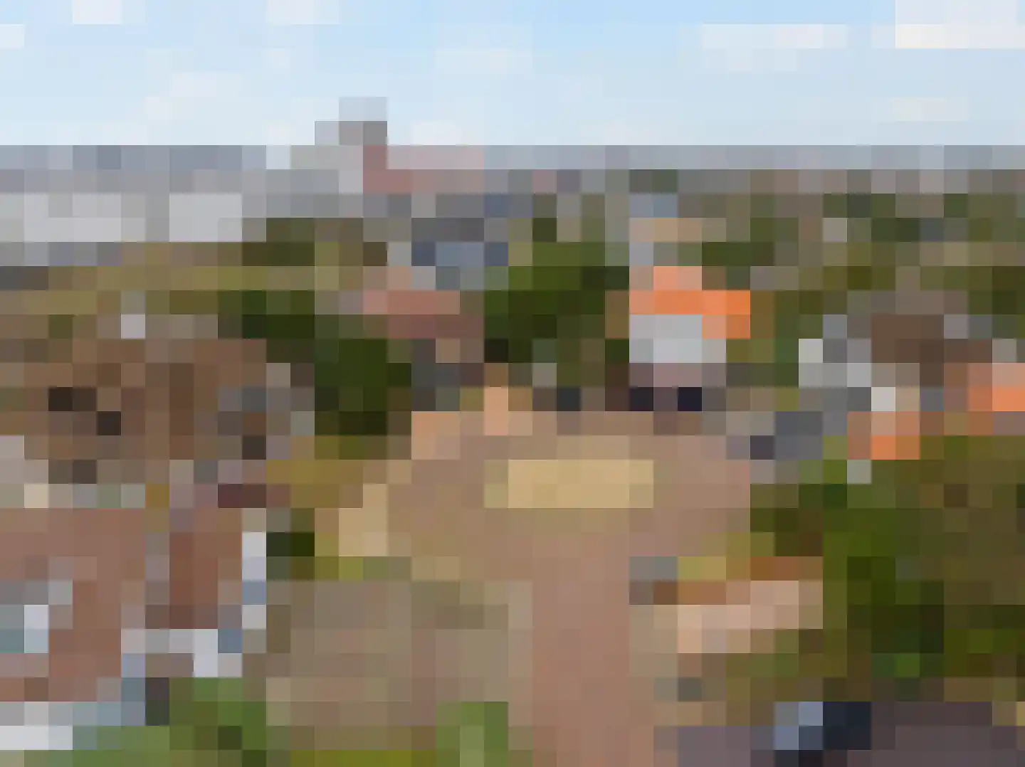 Sole Miopark 3 Noordwijk thumbnail 48