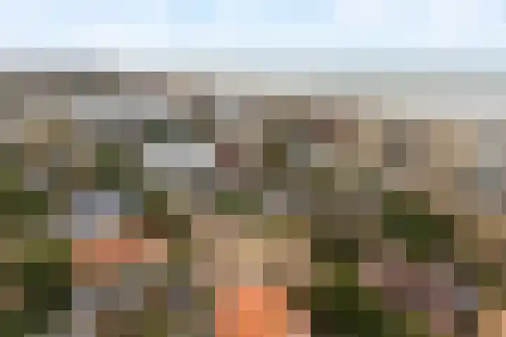 Sole Miopark 3 Noordwijk thumbnail 49