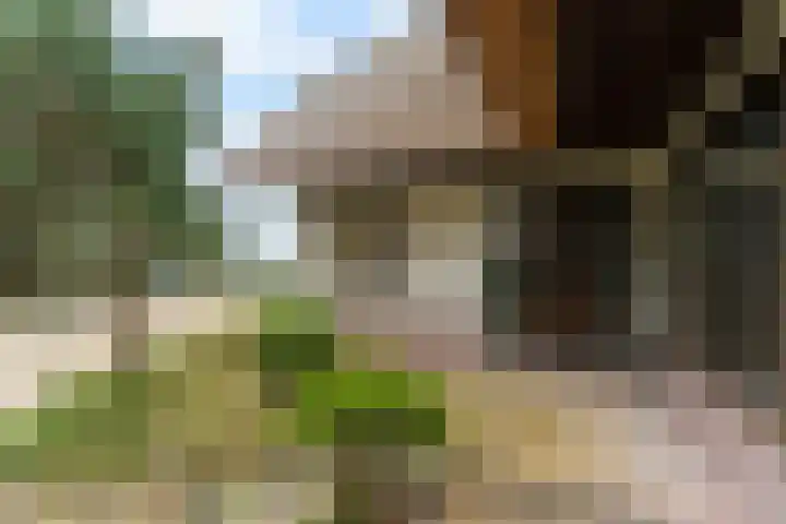 Sole Miopark 3 Noordwijk thumbnail 5
