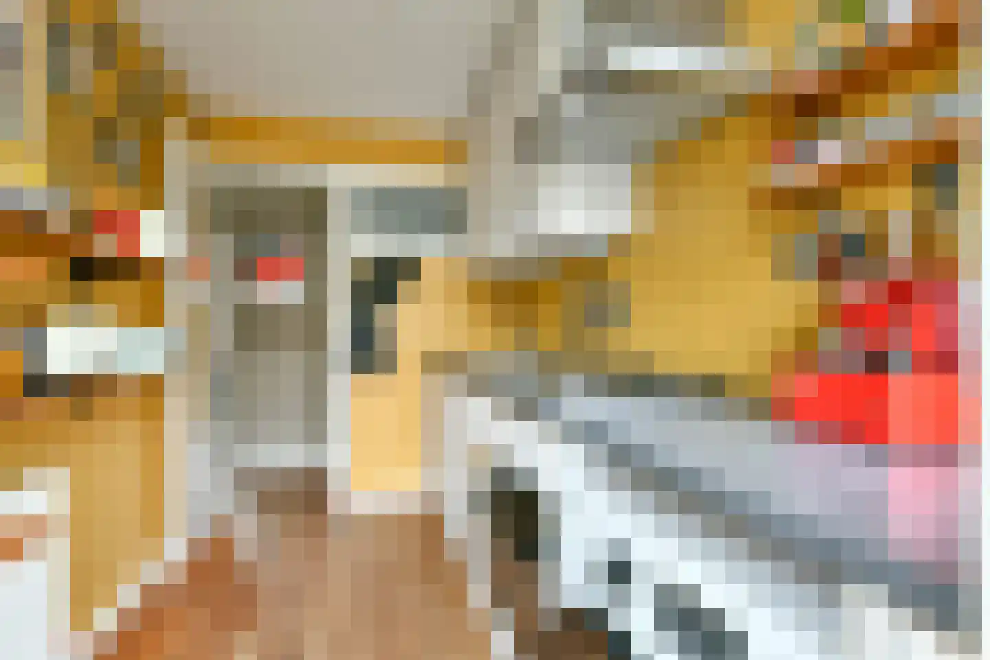 Solebaystraat 66 1 Amsterdam thumbnail 19