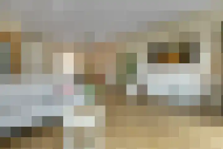 Solidus 74 Elst thumbnail 11