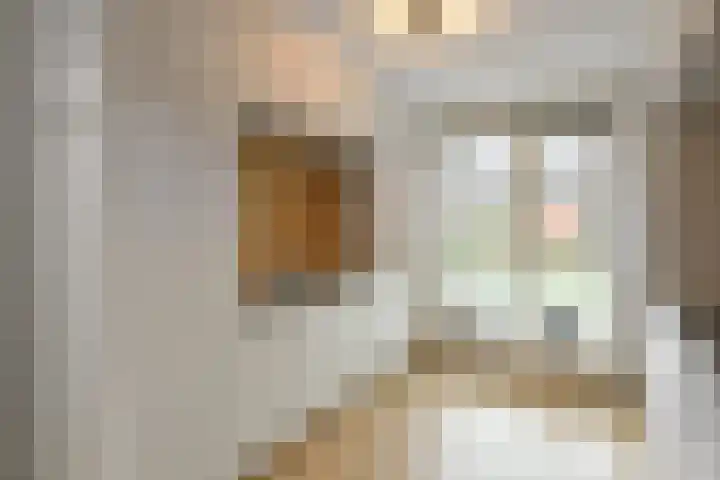 Solidus 74 Elst thumbnail 14