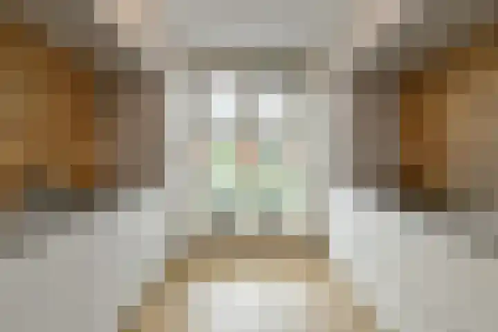 Solidus 74 Elst thumbnail 16