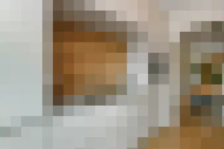 Solidus 74 Elst thumbnail 18