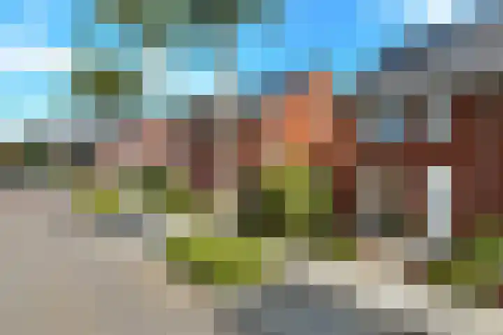 Solidus 74 Elst foto 2