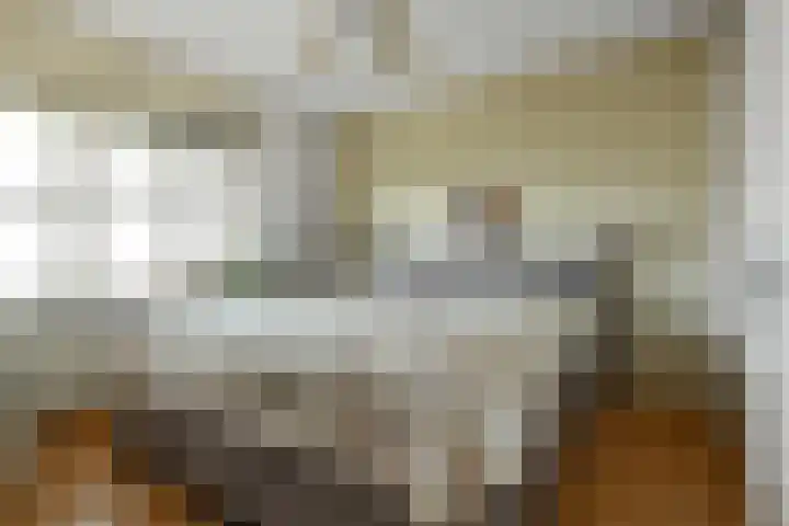 Solidus 74 Elst thumbnail 21