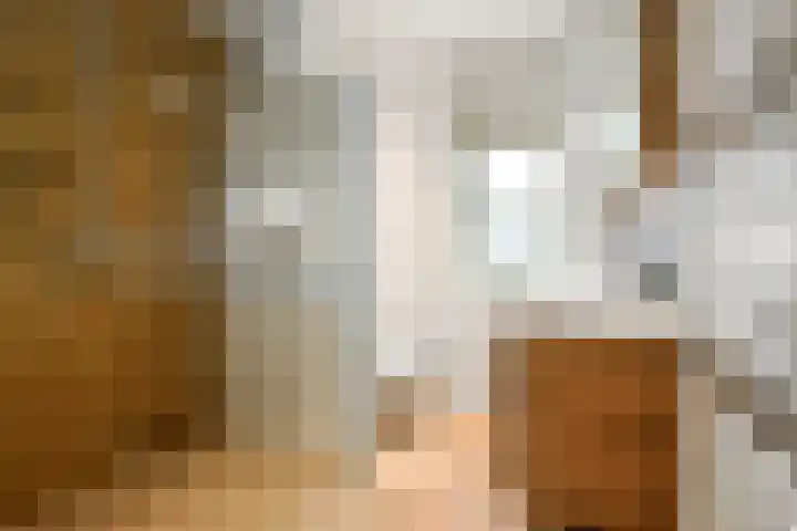 Solidus 74 Elst thumbnail 27