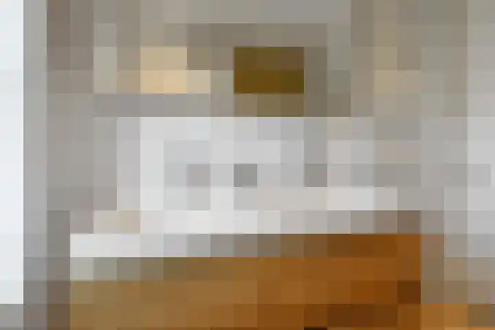 Solidus 74 Elst thumbnail 31