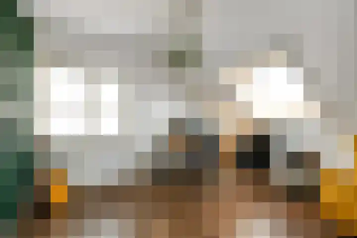 Solidus 74 Elst thumbnail 33