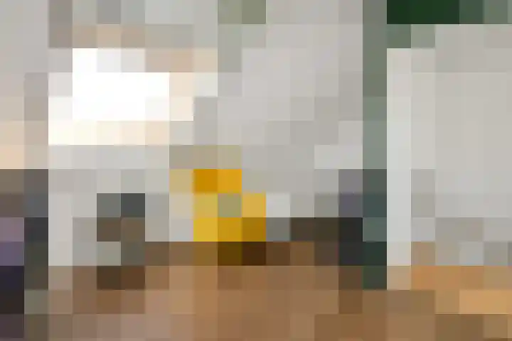 Solidus 74 Elst thumbnail 34