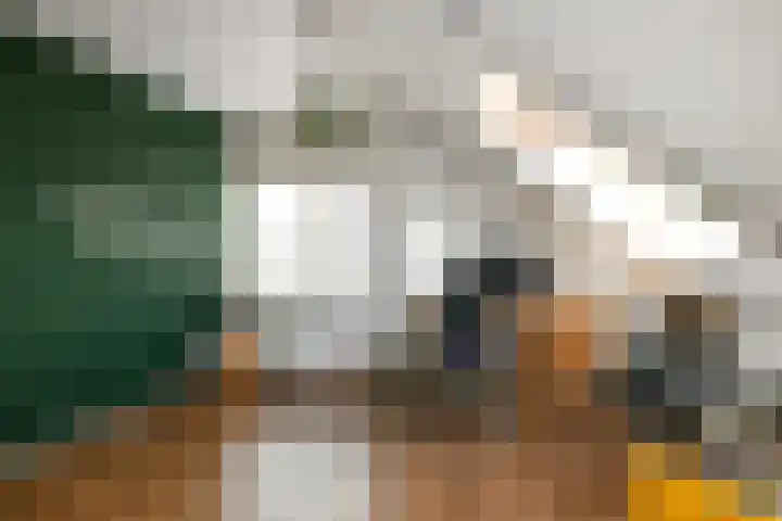 Solidus 74 Elst thumbnail 35