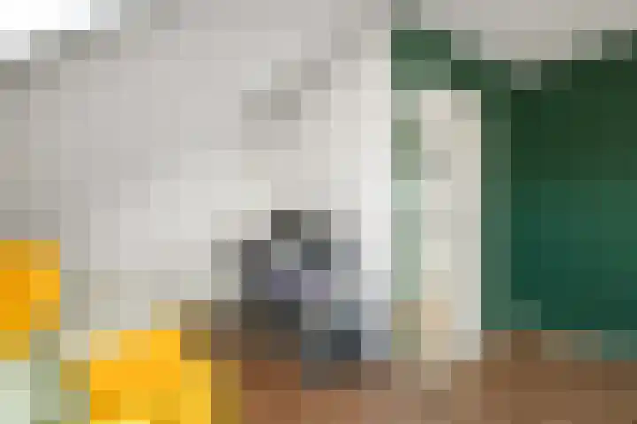 Solidus 74 Elst thumbnail 36