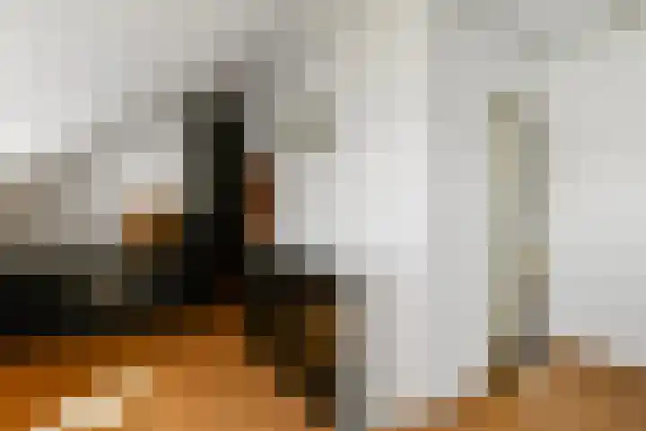 Solidus 74 Elst thumbnail 39