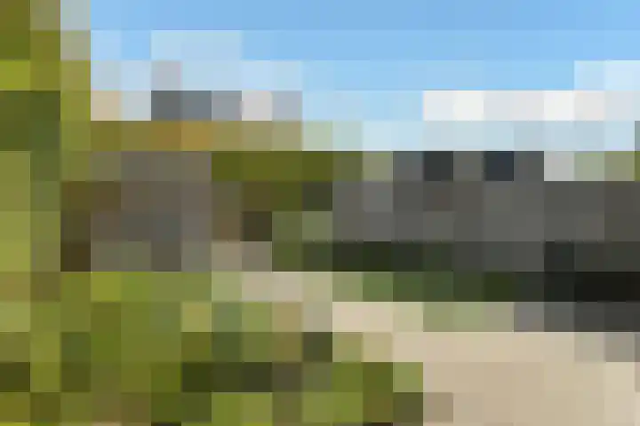 Solidus 74 Elst thumbnail 42