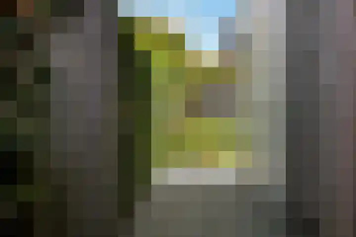 Solidus 74 Elst thumbnail 43