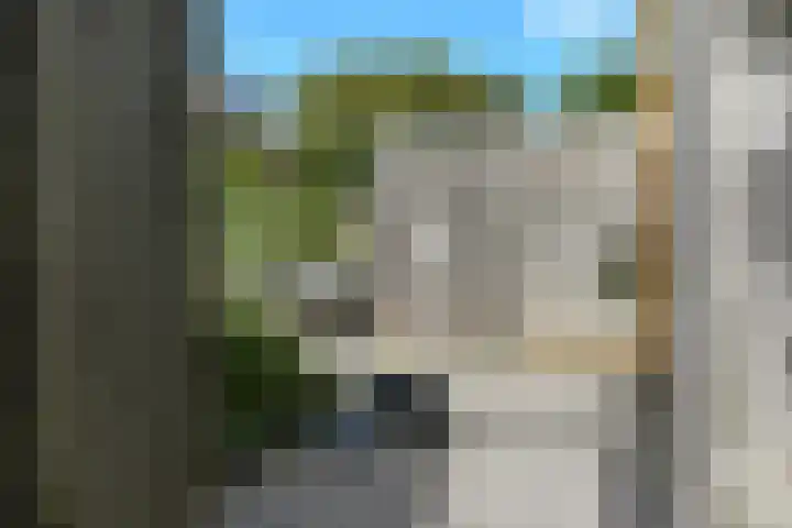 Solidus 74 Elst thumbnail 45