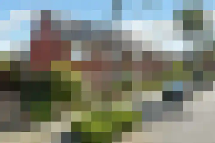 Solidus 74 Elst thumbnail 50