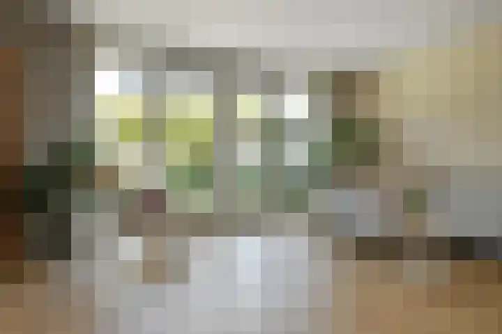 Solidus 74 Elst thumbnail 8