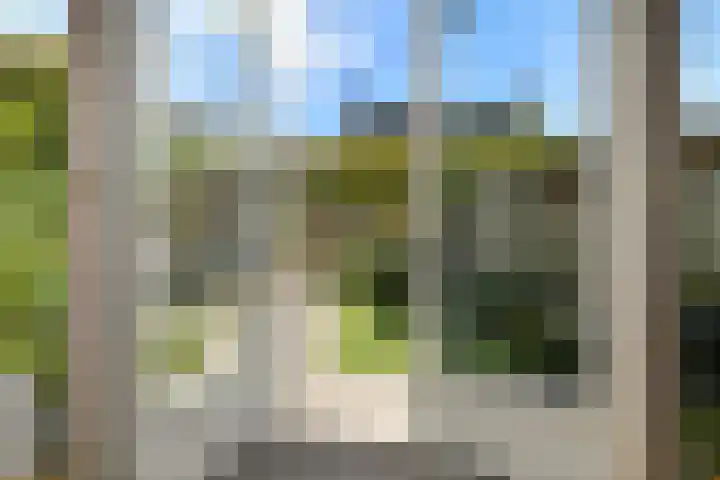 Solidus 74 Elst thumbnail 9