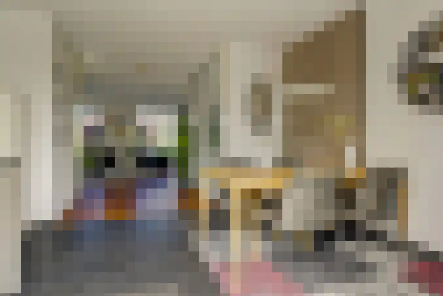 Solidus 76 Elst thumbnail 13