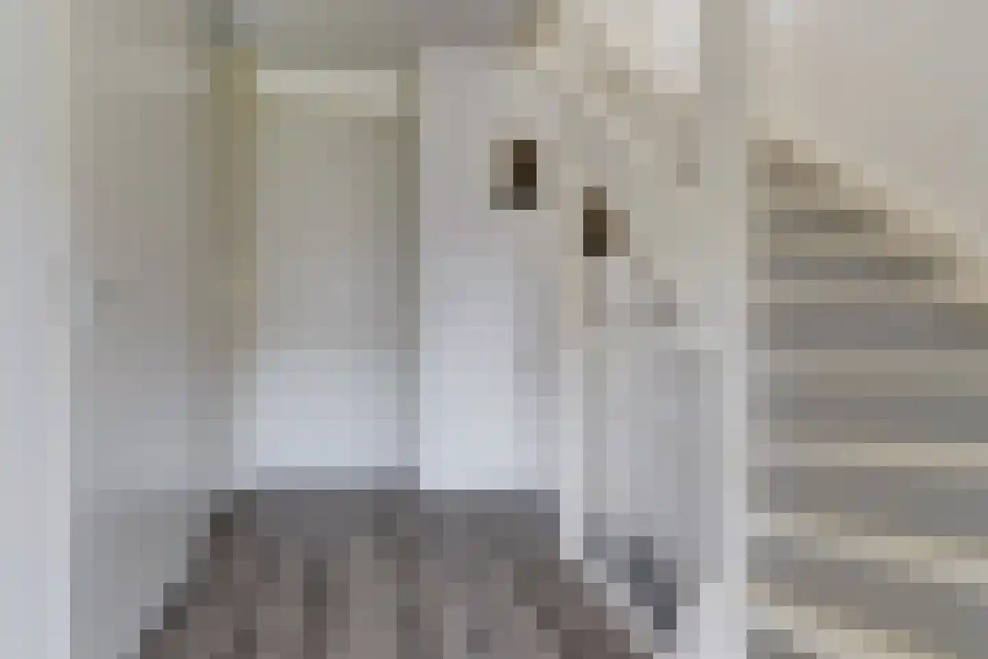 Solidus 76 Elst thumbnail 29