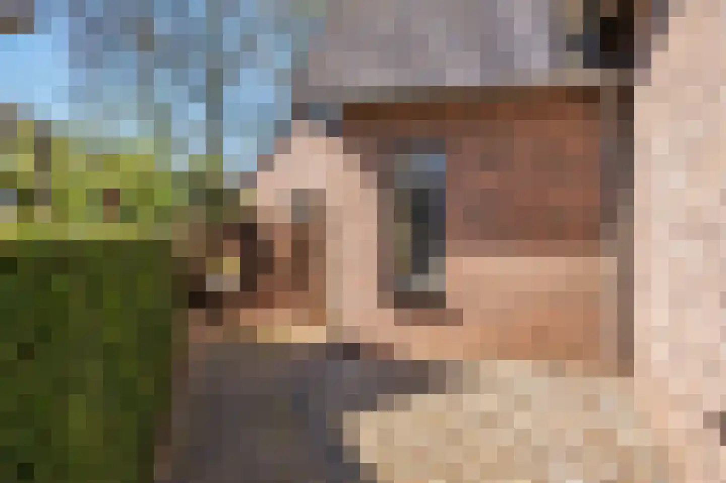 Solingerhof 25 Velden thumbnail 47