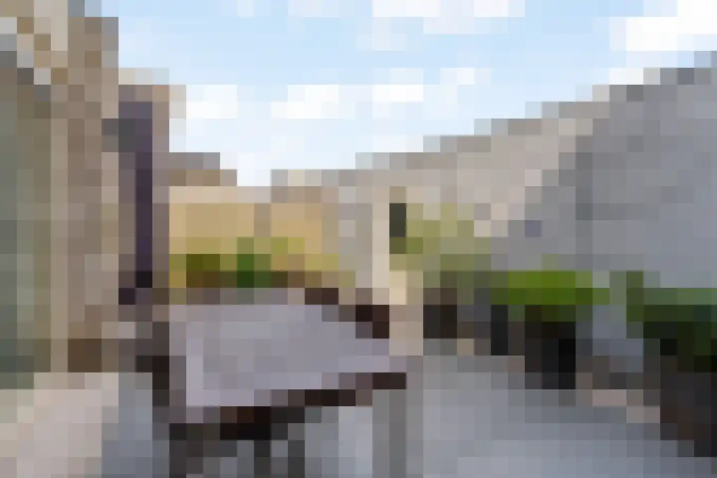 Solislaan 125 Capelle aan den IJssel thumbnail 30