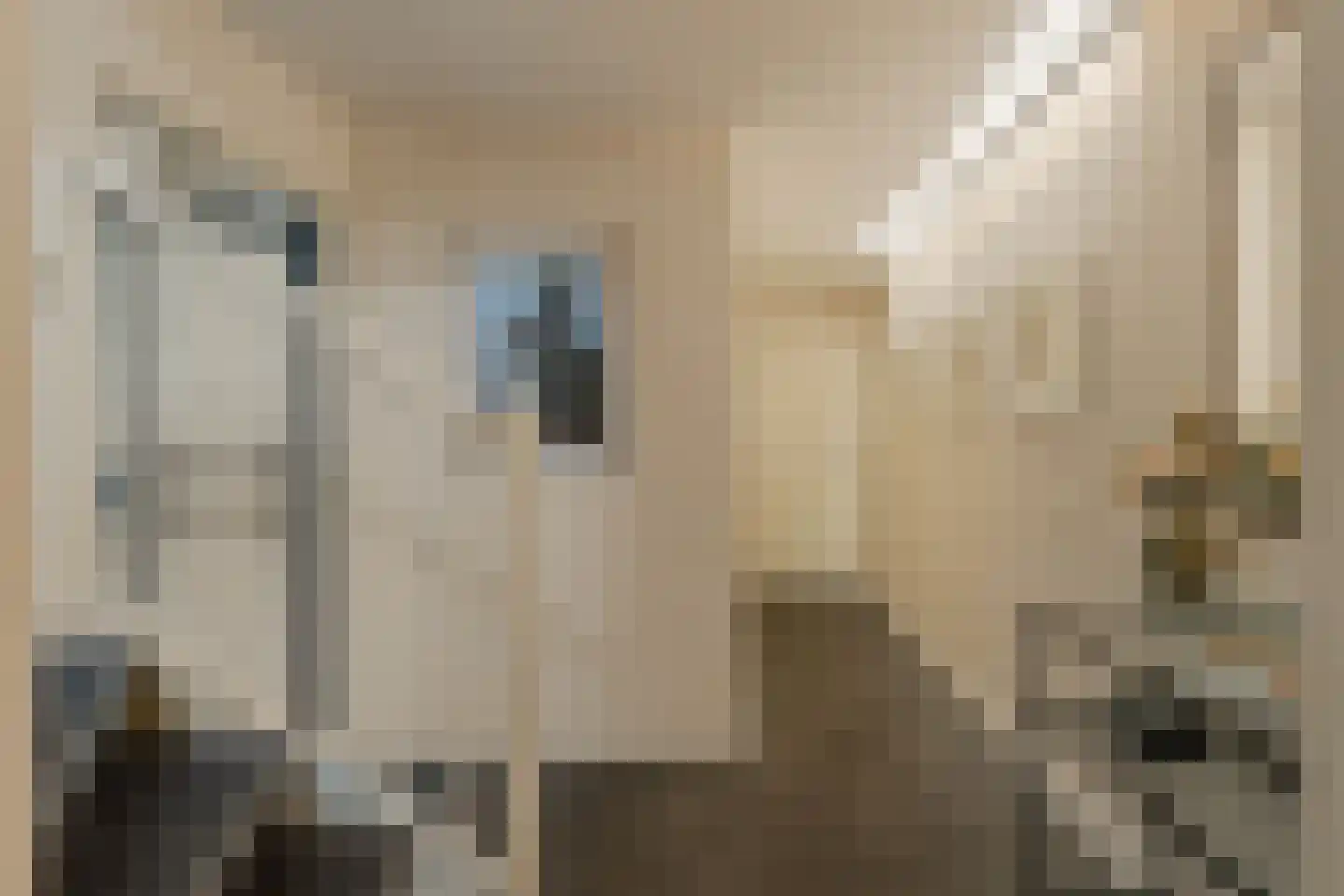 Solislaan 125 Capelle aan den IJssel thumbnail 9