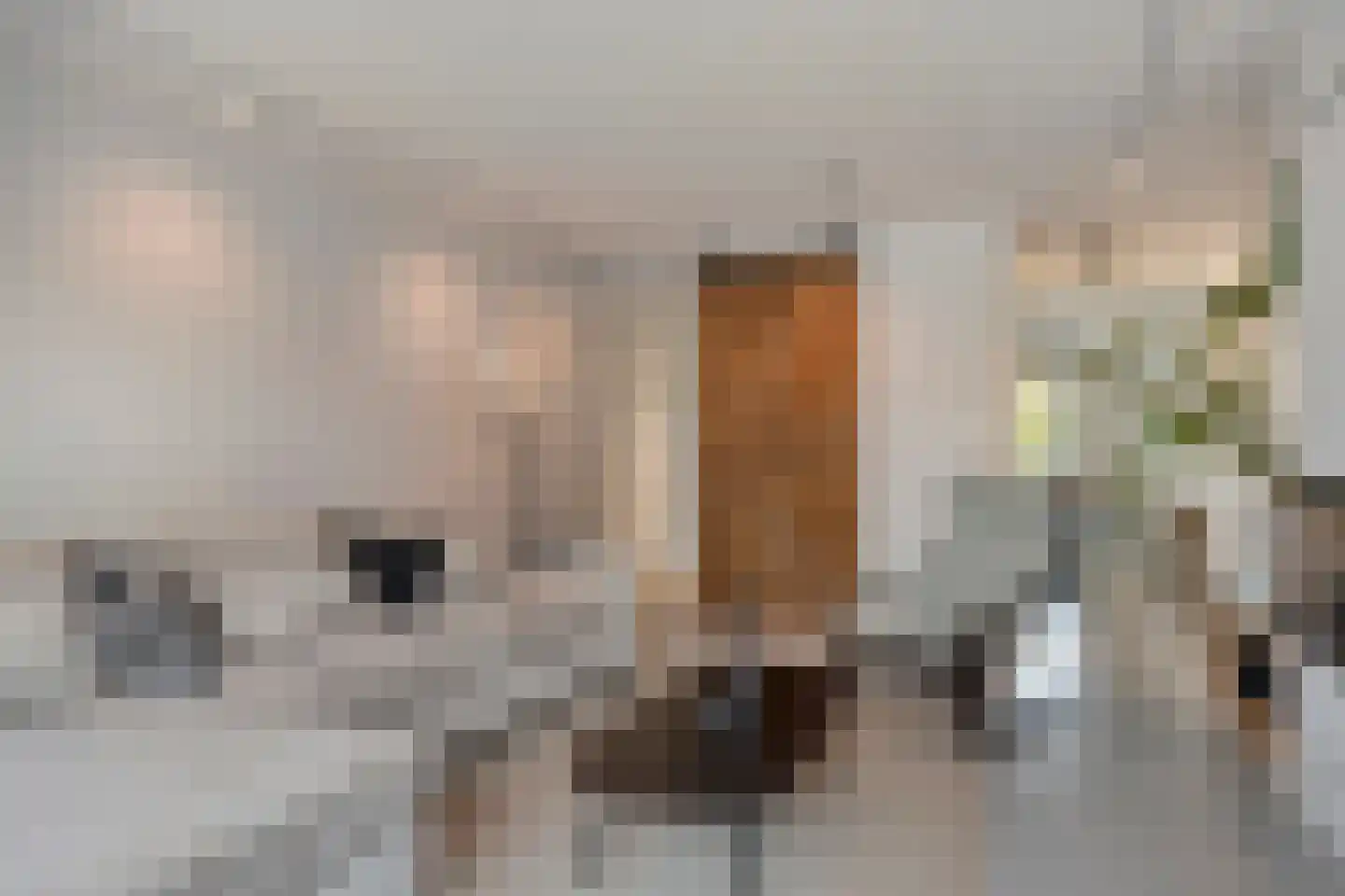 Solislaan 134 Capelle aan den IJssel thumbnail 5