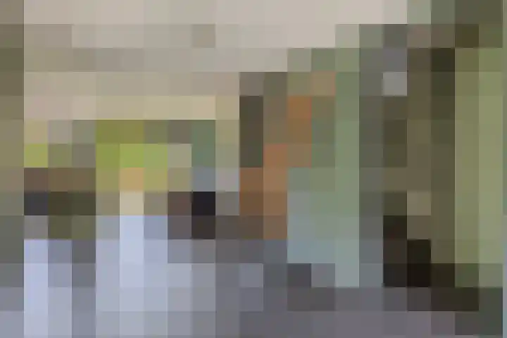 Solislaan 196 Capelle aan den IJssel thumbnail 18