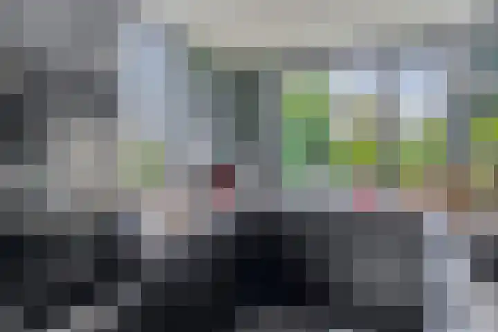 Solislaan 196 Capelle aan den IJssel thumbnail 23