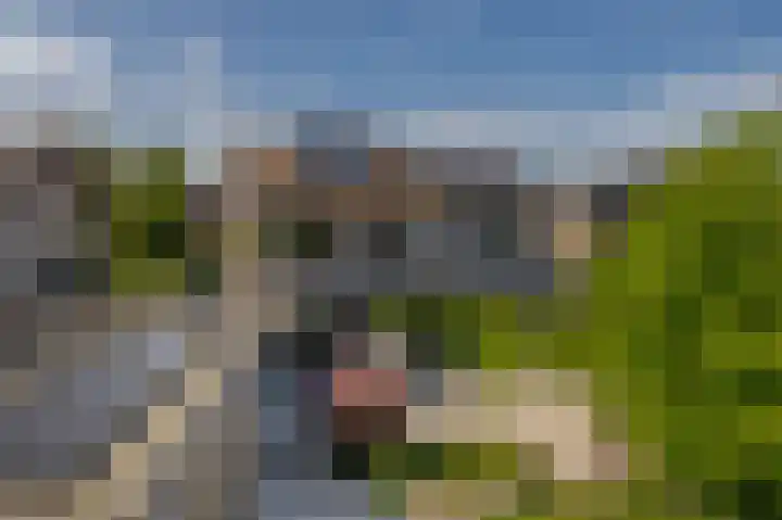 Solislaan 196 Capelle aan den IJssel thumbnail 26