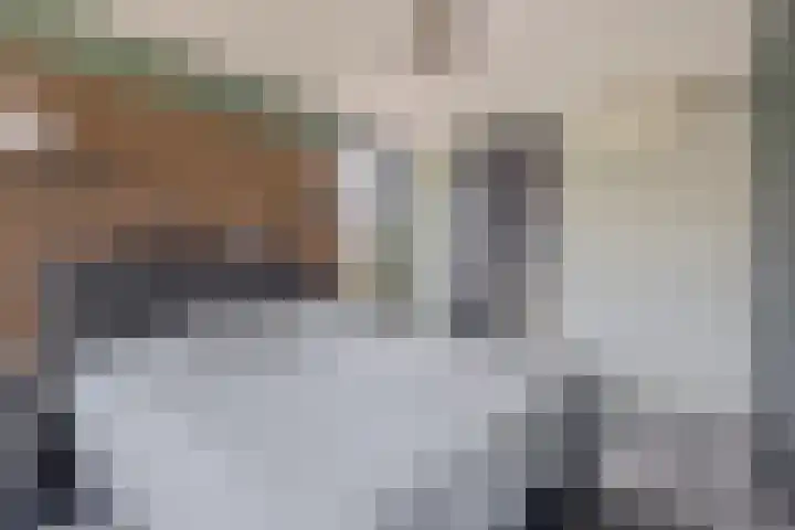 Solislaan 196 Capelle aan den IJssel thumbnail 30