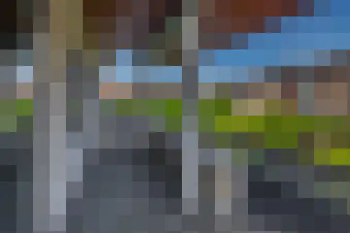 Solislaan 196 Capelle aan den IJssel thumbnail 32