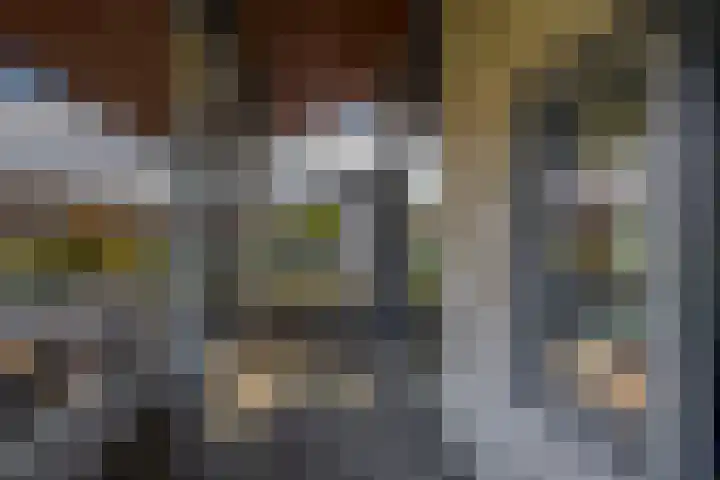 Solislaan 196 Capelle aan den IJssel thumbnail 33