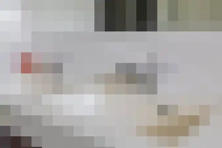 Solislaan 196 Capelle aan den IJssel thumbnail 37