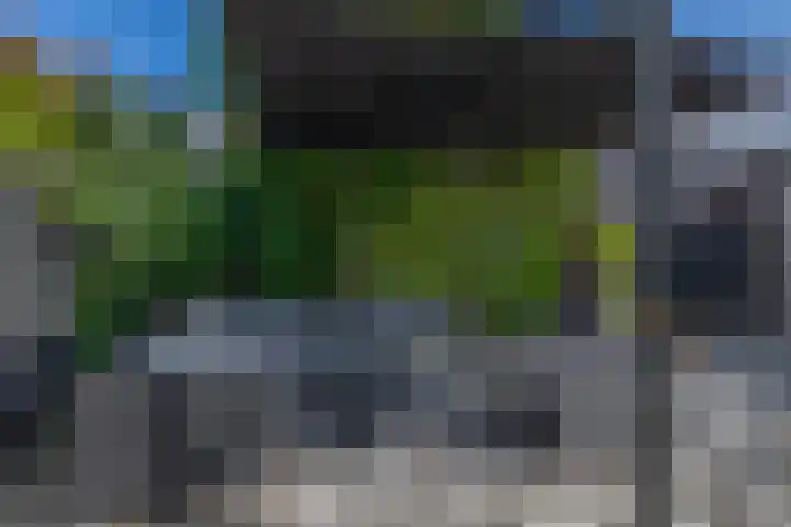 Solislaan 196 Capelle aan den IJssel thumbnail 4