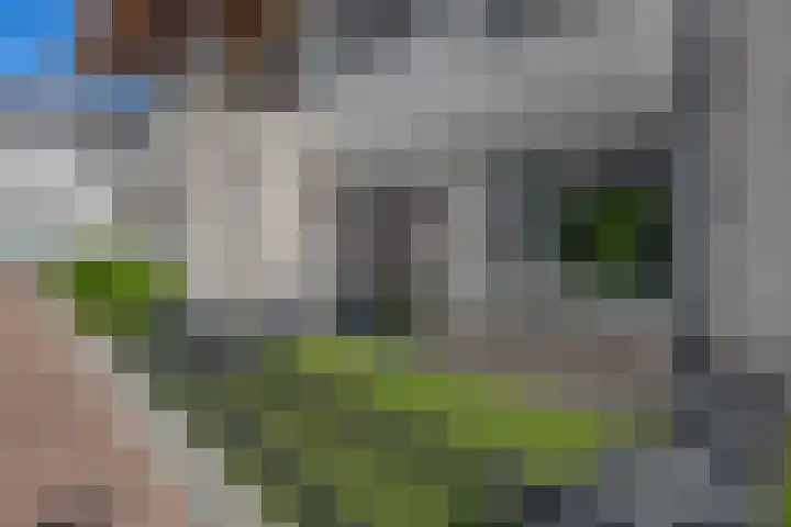 Solislaan 196 Capelle aan den IJssel thumbnail 5