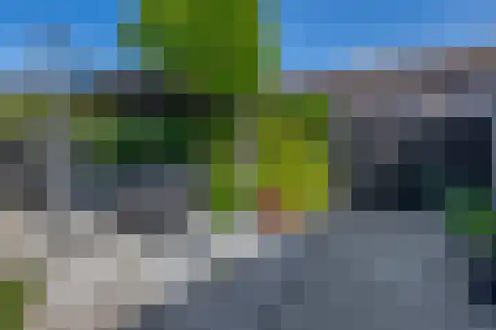 Solislaan 196 Capelle aan den IJssel thumbnail 50